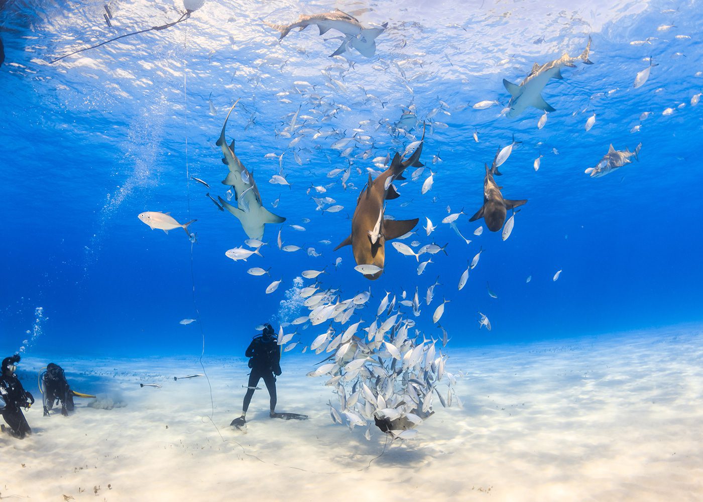 Cozumel & Nassau Bahamas