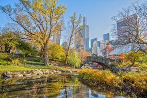 Central Park