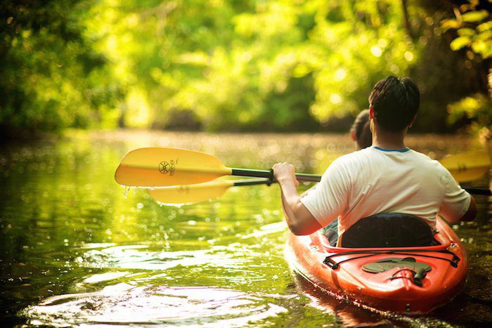 Family Kayaking | Family Activities in Fort Myers and Sanibel in Florida