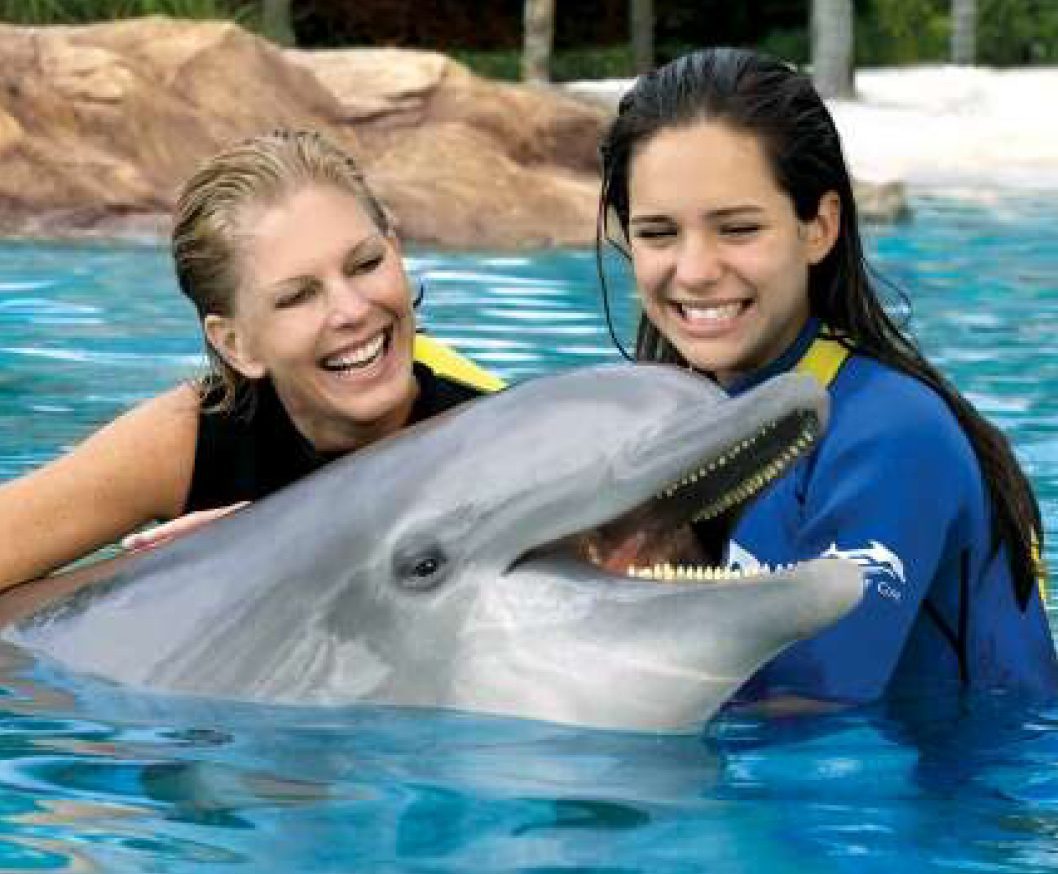 Discovery Cove