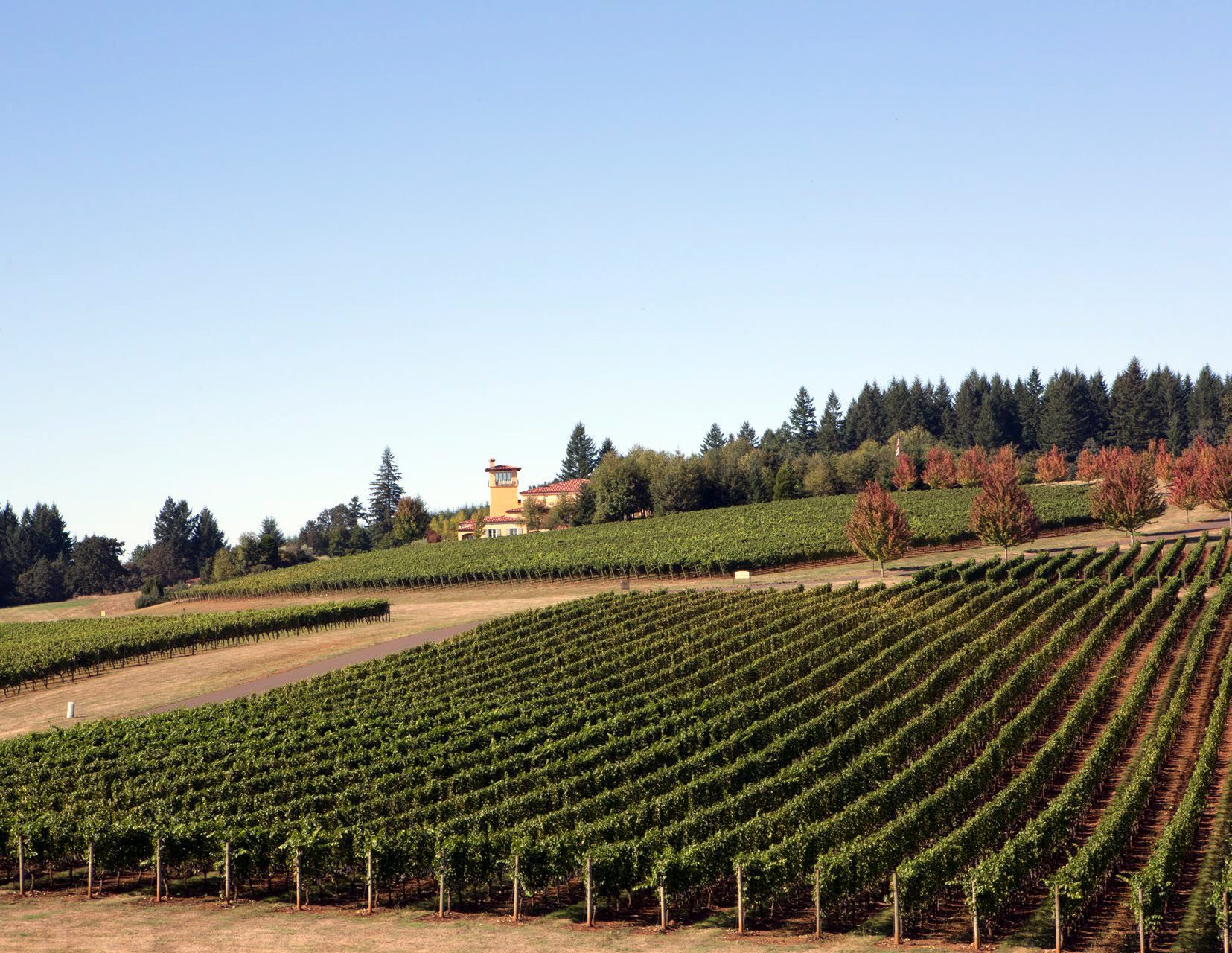 Pacific Northwest Wine Trail