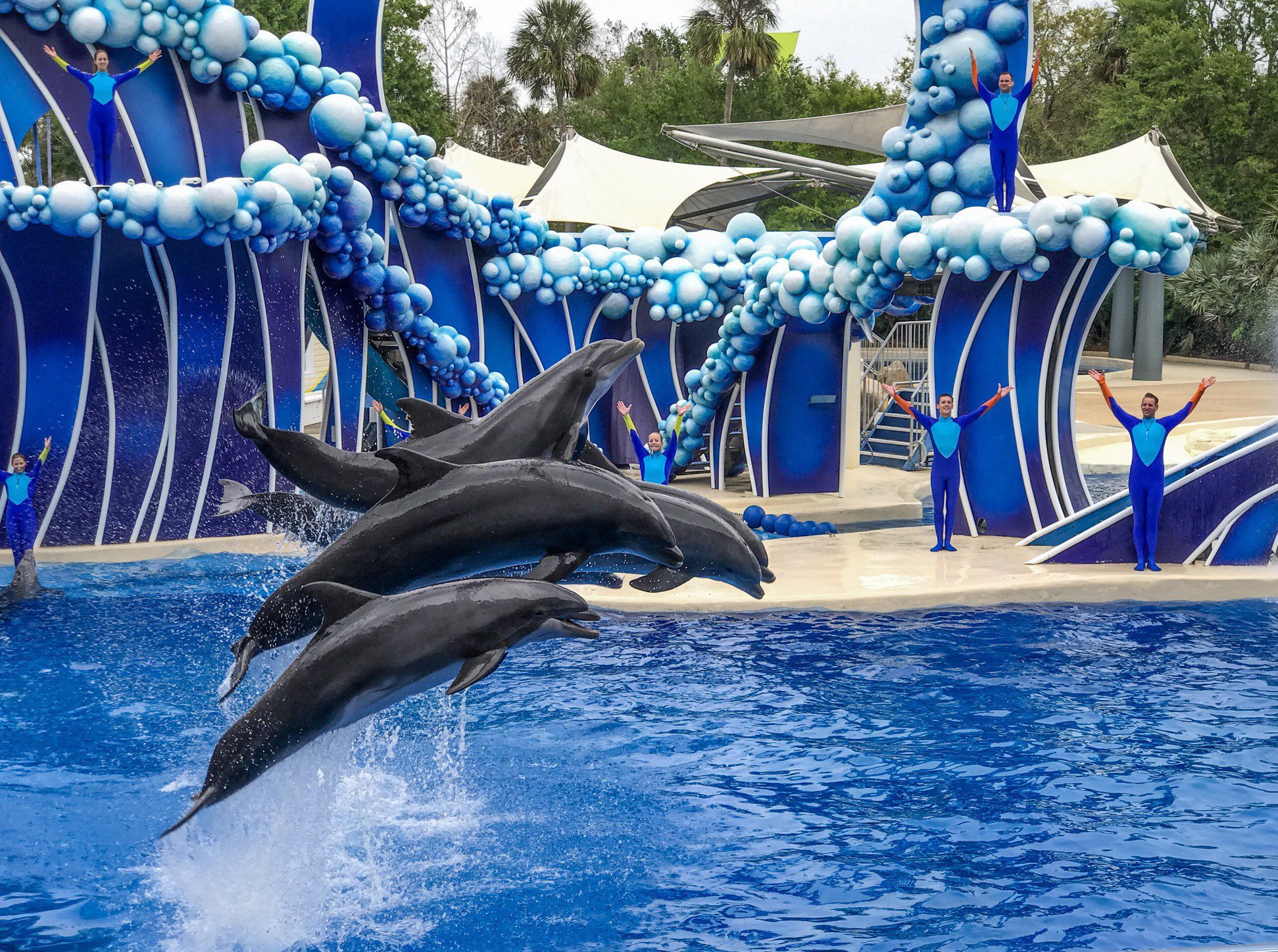 SeaWorld adventure