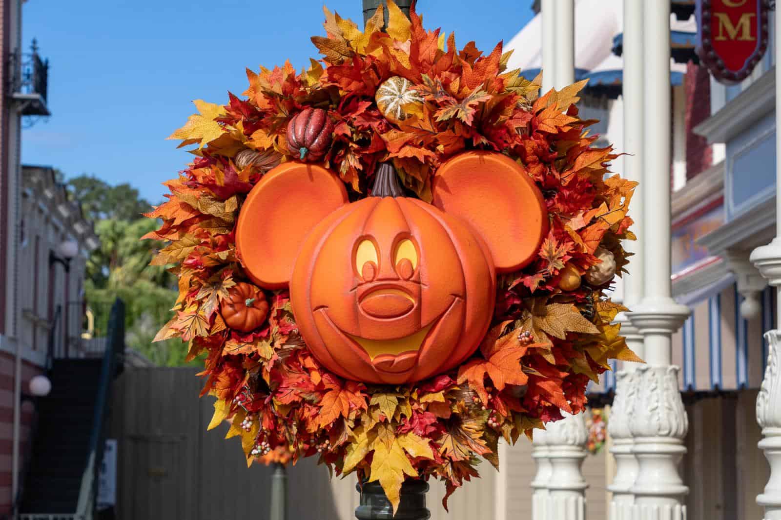 Disney Thanksgiving