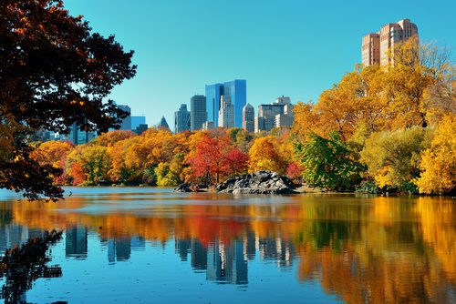 Top Museums to Visit on Your New York Holidays
